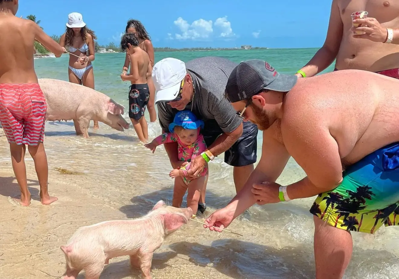 Guests enjoying a pig encounter on a Nassau beach